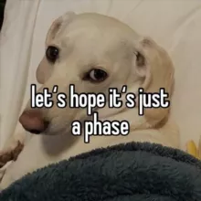 щиттолкер сейка🌹