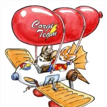 Corgi team (Корги тим)