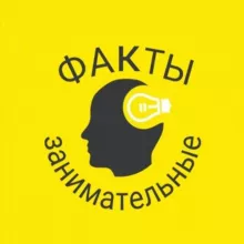 Занимательные Факты