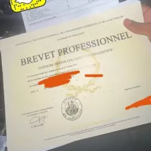 BREVET PROFESSIONEL & DOCUMENT OFFICIEL