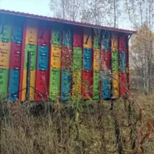 "БЕРЕНДЕЙ" Кассетное пчеловодство