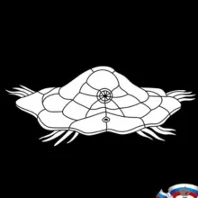 Биологи-всеросники