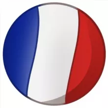 Полиглот Дмитрий Петров (французский)