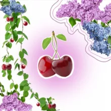 Летние будни на пару [тпох – мод!]