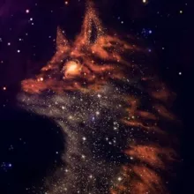 Звездный лис