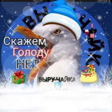 😎Выру-Чайка-ИНФО😇😇😇