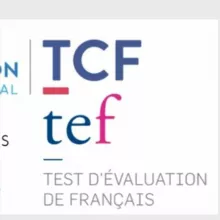 TCF & TEF|LIBRARY