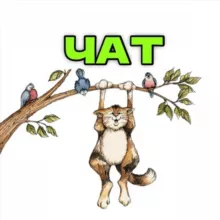 Чат канала Кот на дереве