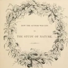 De Natura - Biological Illustrations