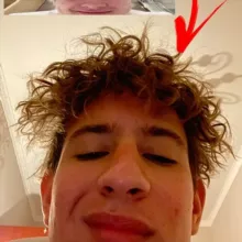 крылатая берлога