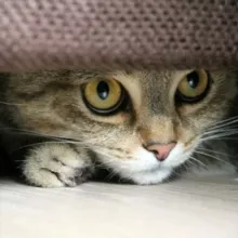 Бомбоубежища Москвы