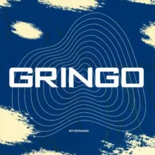 Gringo's radio