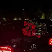 𝐤𝐩𝐚𝐜𝐨𝐭𝐭𝐚