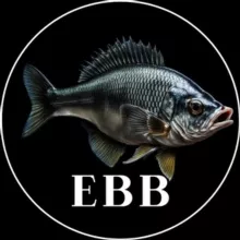 Ebb Club | мафия Новосибирск | ebbclub