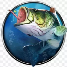 Рыбалка в Твери и Тверской области