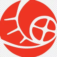 Тот самый канал про кино🎥