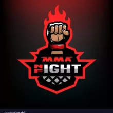 MMA FIGHT