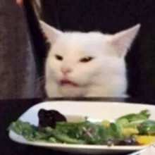 Humorkanal : Lustige Memes, Witze, Fotos und Videos. Motivation und gute Laune für den ganzen Tag. Lachkanal N1