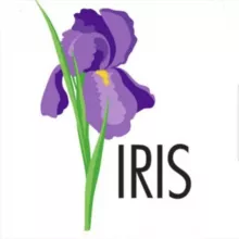 iris Turkiya. оптовиклар учун штучно