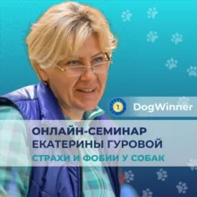 Моя тревожная собака