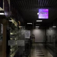 Magazin Adam (Косметика 💄)