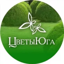 Цветы Юга