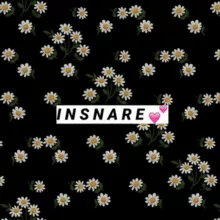Insnare 🌻