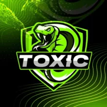 Toxic gamer
