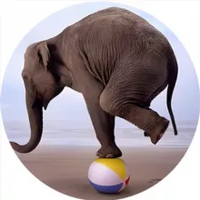 📢 QA — Load (job)