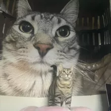 мій смітник 🇺🇦