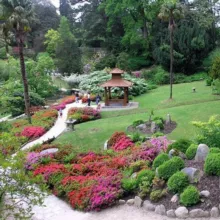 Ландшафтный дизайн. Сад. Огород. Дача. Газон. Цветы. Сочи