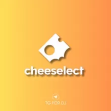 Cheeselect [DJ's Chat]