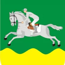 Черепановский район