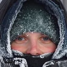 Княженика | на плато Путорана