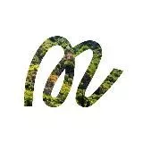 🇲🇪 Волна / Черногория