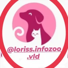 ИНФО.ЗОО.Прим.Край