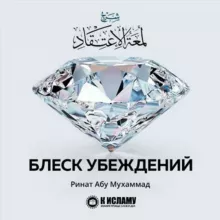 Блеск убеждений