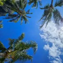 Полетели? ✈️