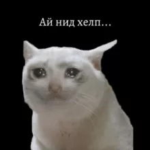 Студенческие инсайды