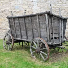 Телега Новосибирска