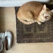 ожоги от холодных звезд.✧ ᨦ