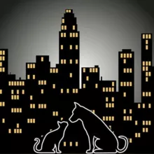 Мини приют Казань