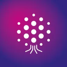 Гуманитарии в цифре